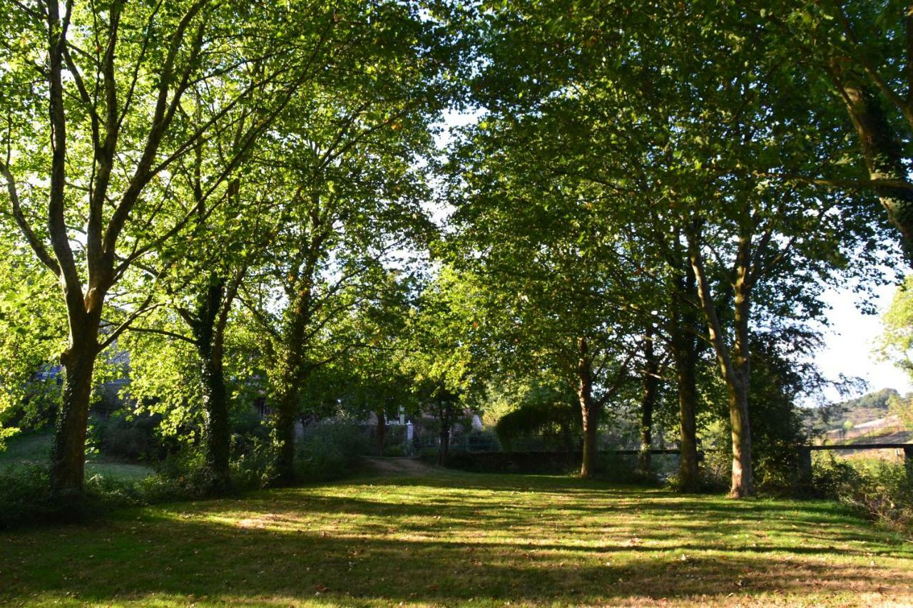 Le Moulin Neuf Vila Beaupréau-en-Mauges Exterior foto